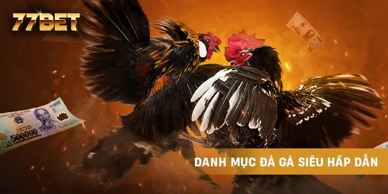 Danh mục đá gà siêu hấp dẫn Danh mục đá gà siêu hấp dẫn